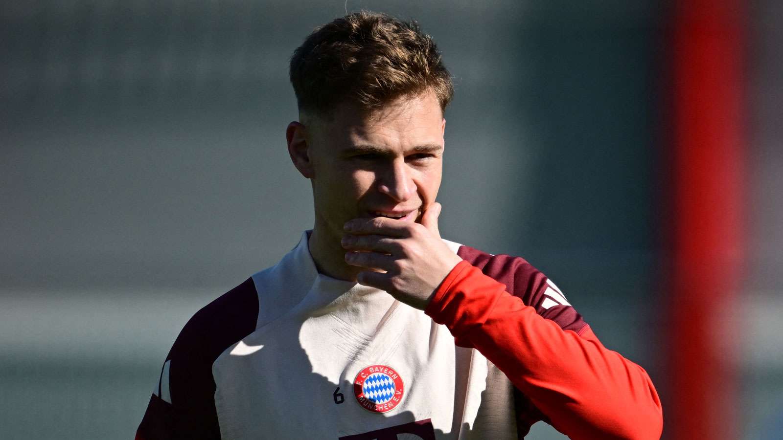 了球迷的热 了球迷的热