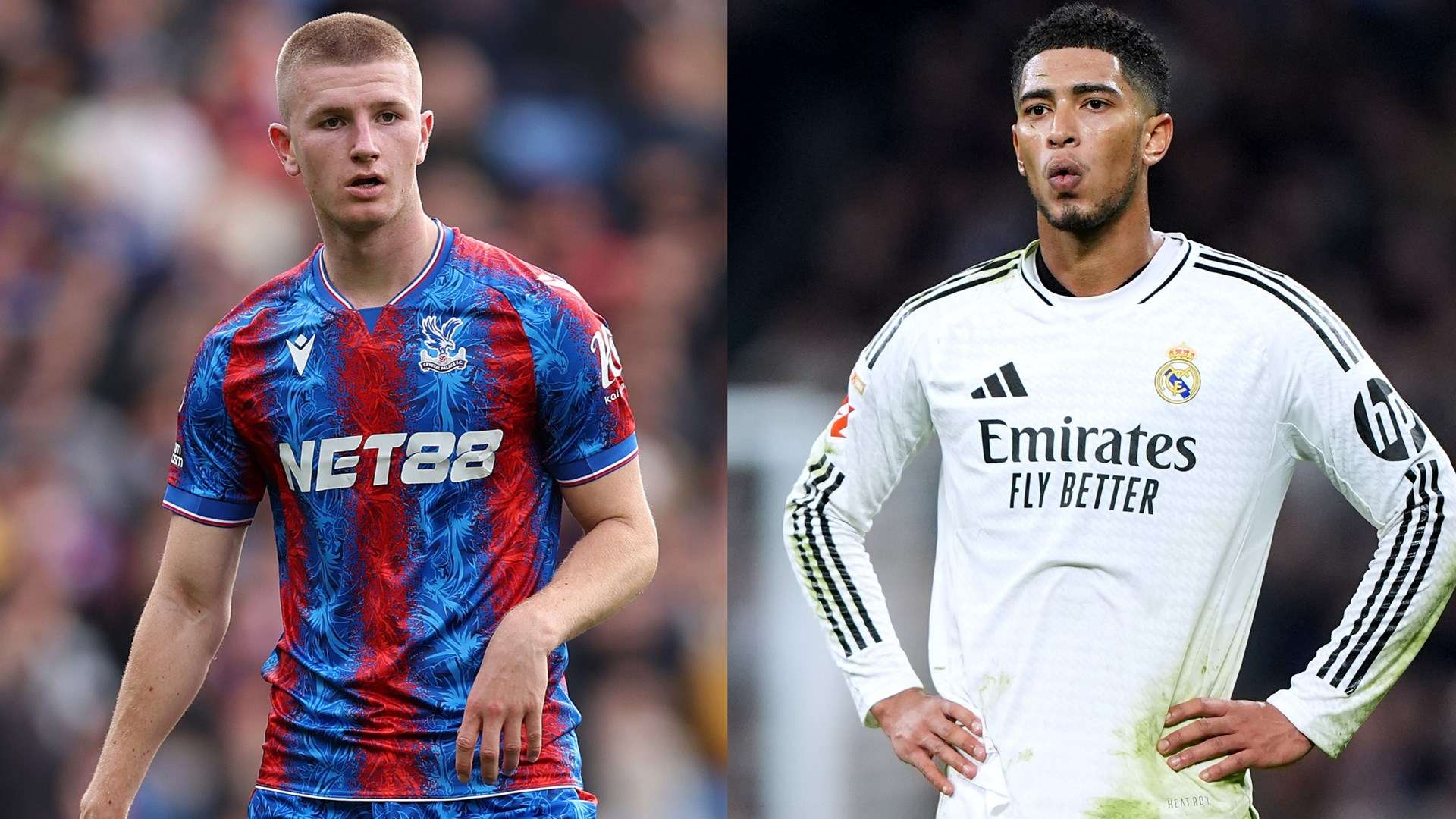 新宣布的重 新宣布的重