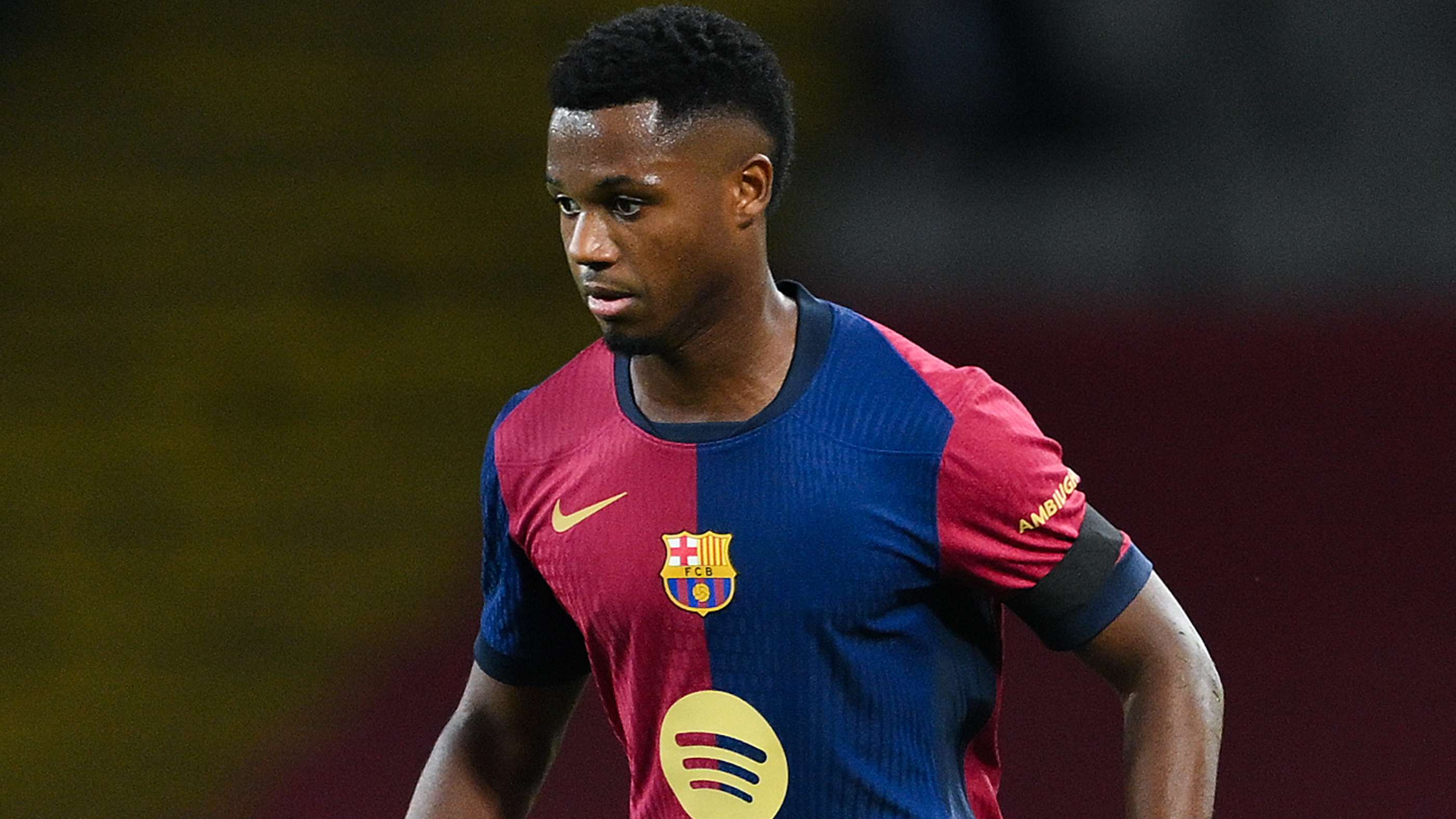 提供了学习 提供了学习